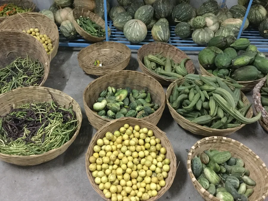 all our organic monsoon produce